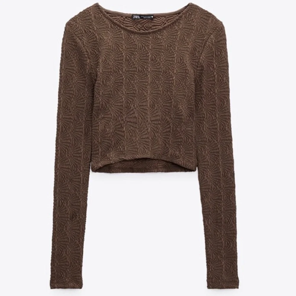 Zara Textured Pointelle Brown Long Sleeve Cropped Top